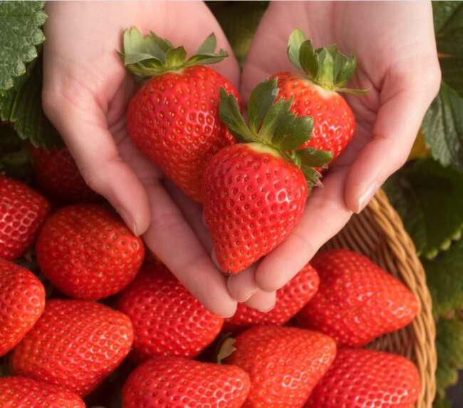 WhatsApp Image 2025-10-21 at 14.34.54