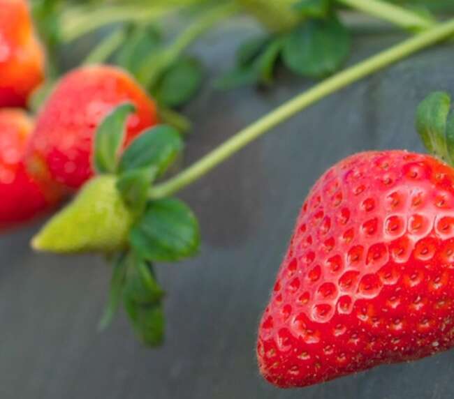 WhatsApp Image 2025-10-21 at 14.35.14 (2)