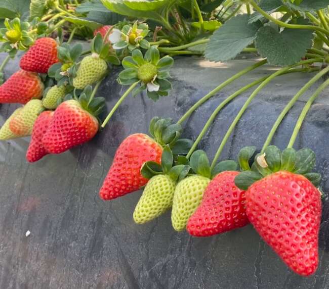 WhatsApp Image 2025-10-21 at 14.35.14